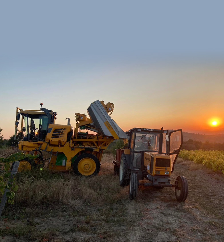 Le domaine - Vins de Bourgogne