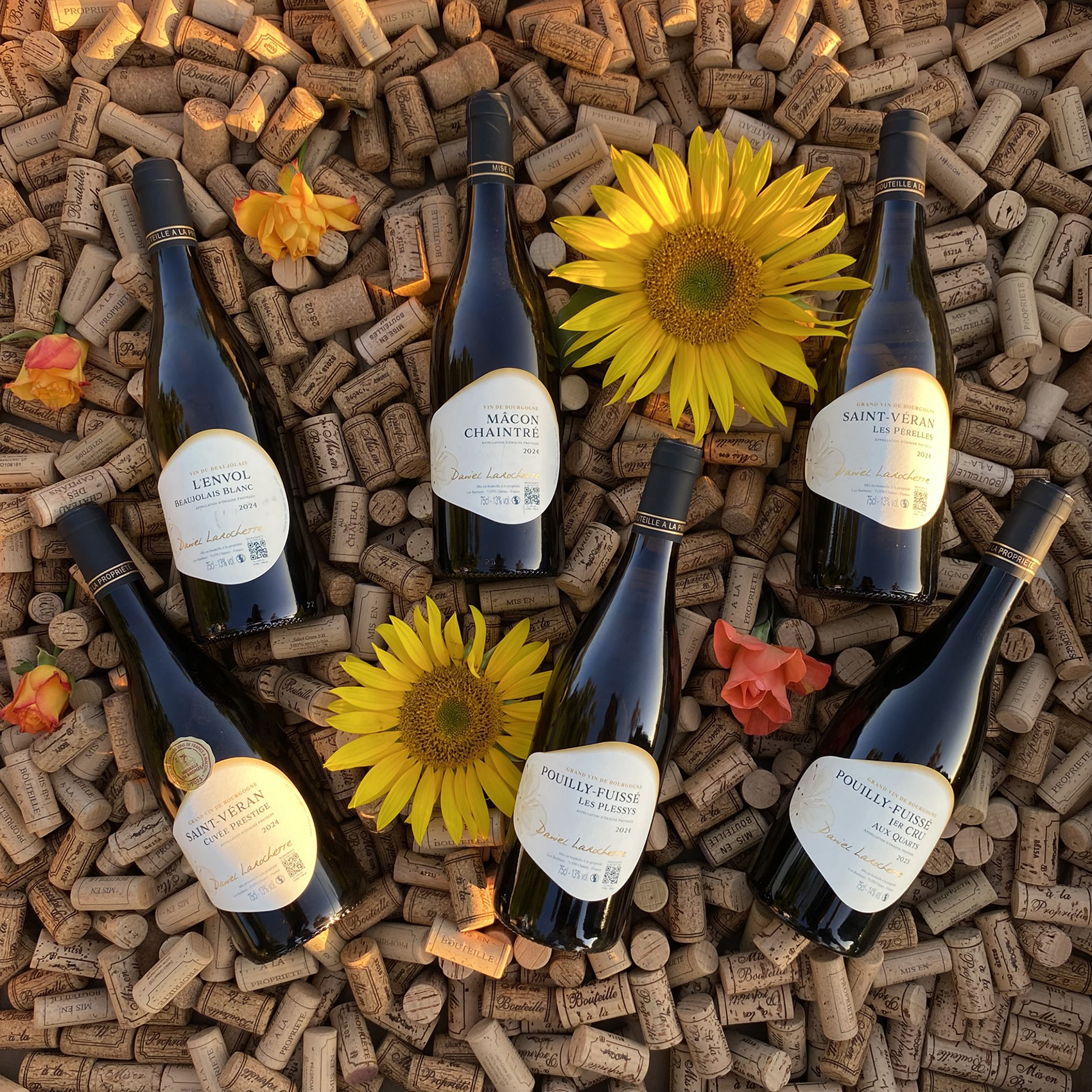 Domaine Larochette - Vins de Bourgogne 71