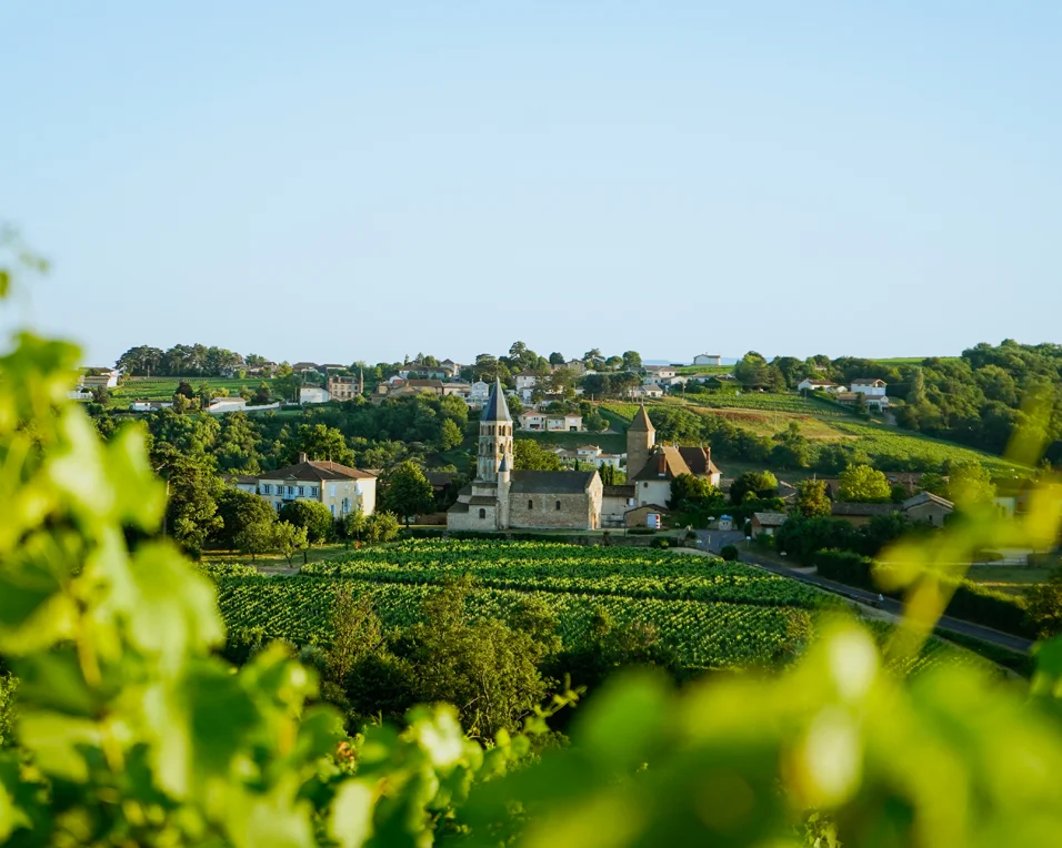 Le domaine - Vins de Bourgogne